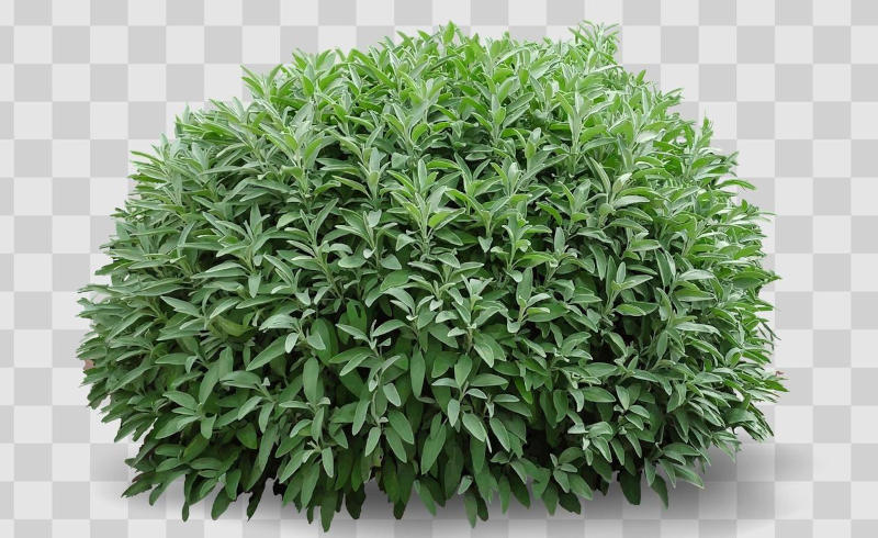 *SMH* 4 more years of Bush *SMH* 4 more years of Bush