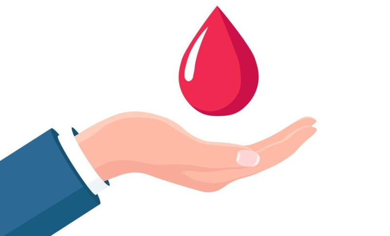 What is in my blood? What is in my blood?