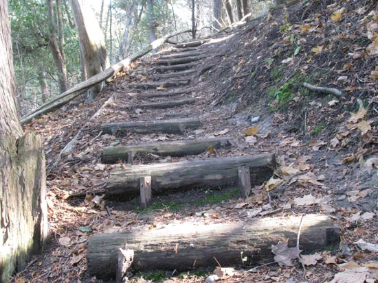 Stairway scared and death rules there…