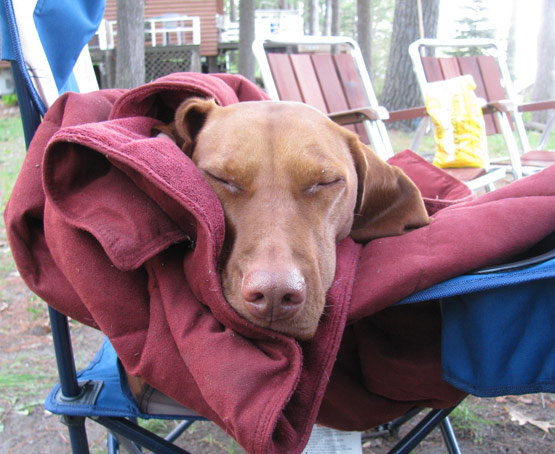 What the weekend was about…