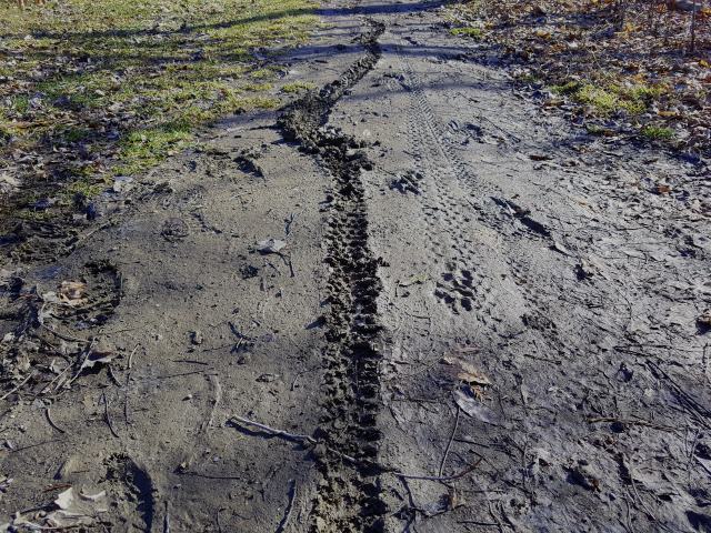 Yes. It was very muddy.