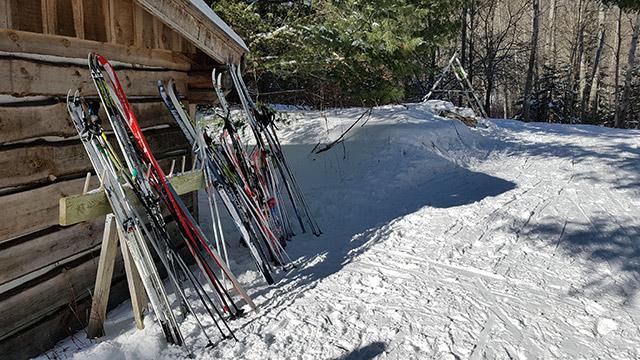 Cider at Mono Nordic