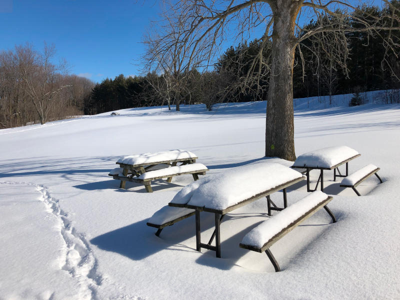 Lovely Winter Walk Lovely Winter Walk