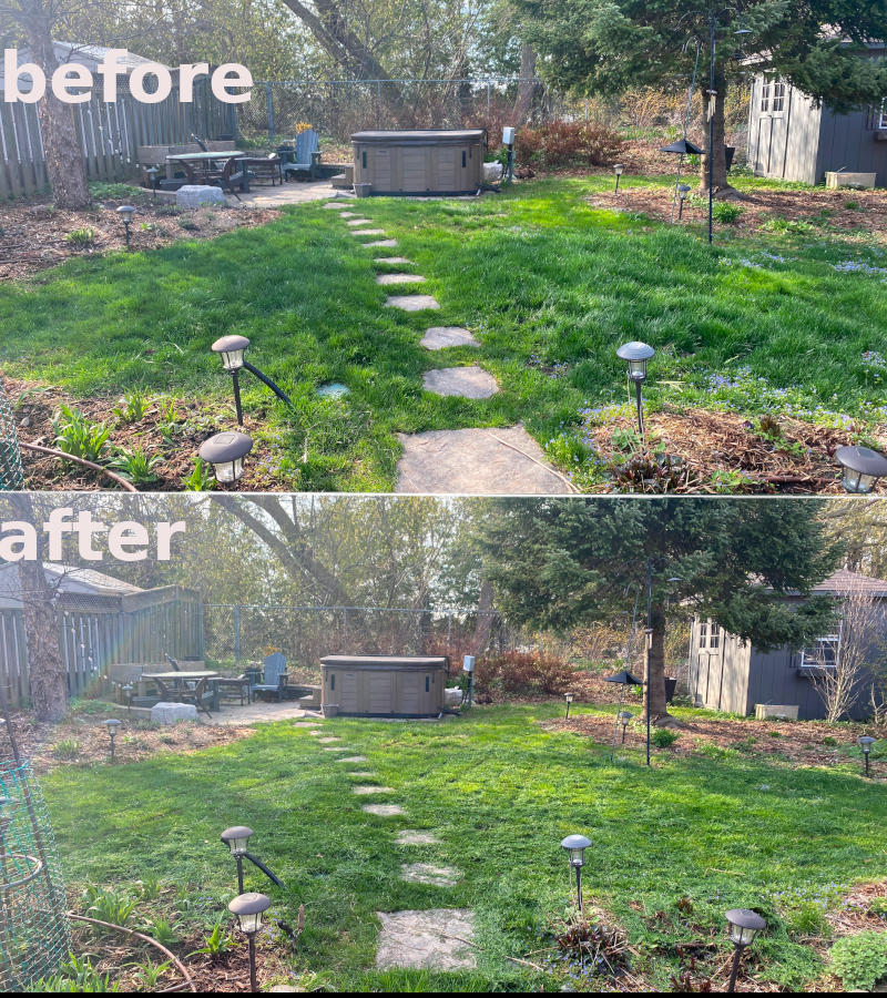 Get a trim Get a trim