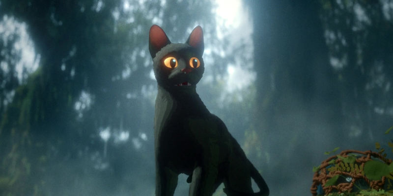 Black cat says meow.