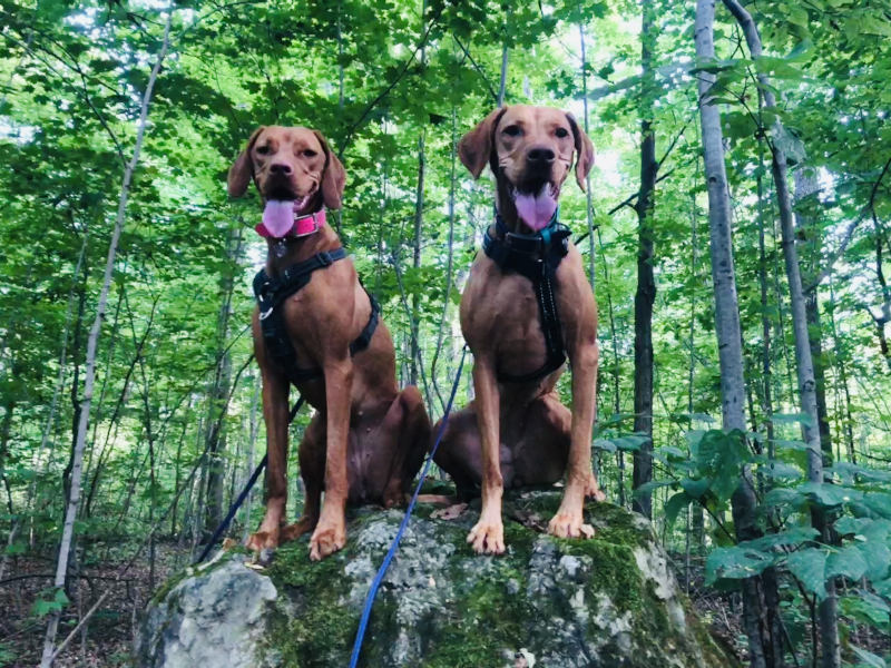 No. No. No. Look here!