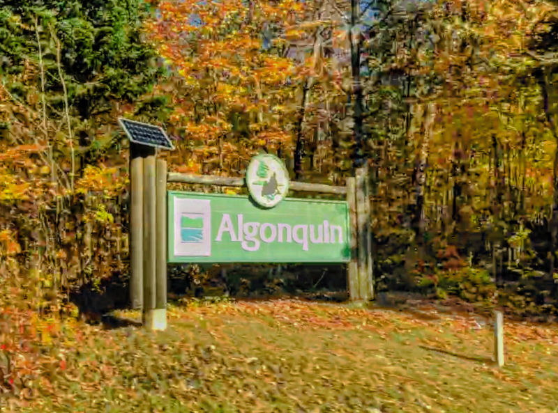 Not a great shot but...