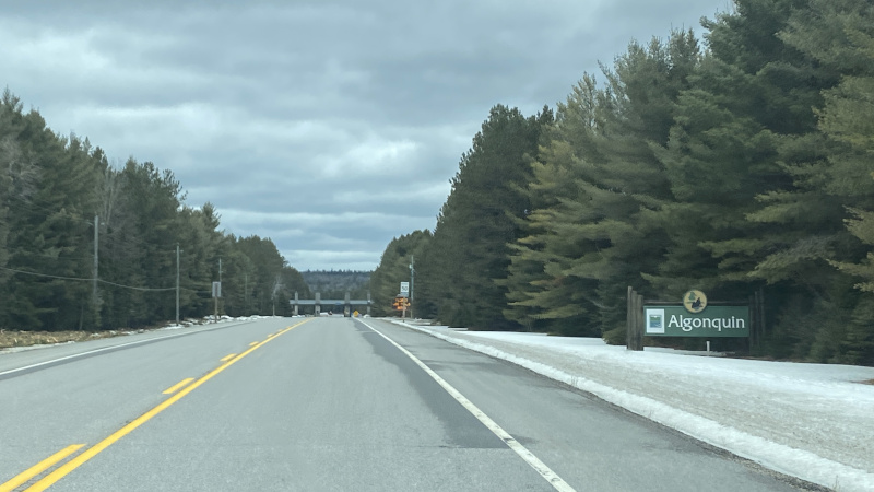 Went through a very humanless park